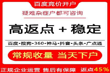 SEM广告投放案例：提升网站流量与转化
